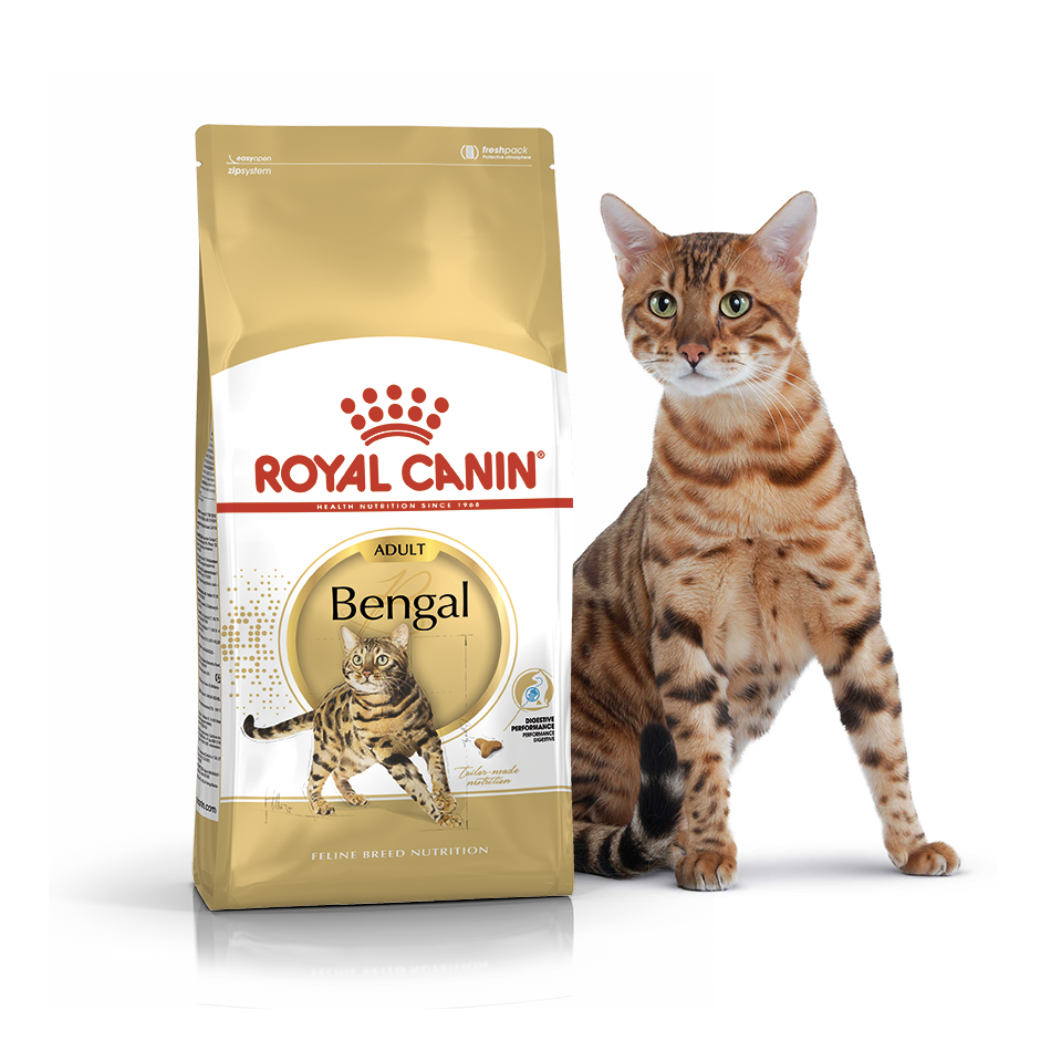 Сухий корм для котів та кішок породи Бенгальська Royal Canin Bengal Adult