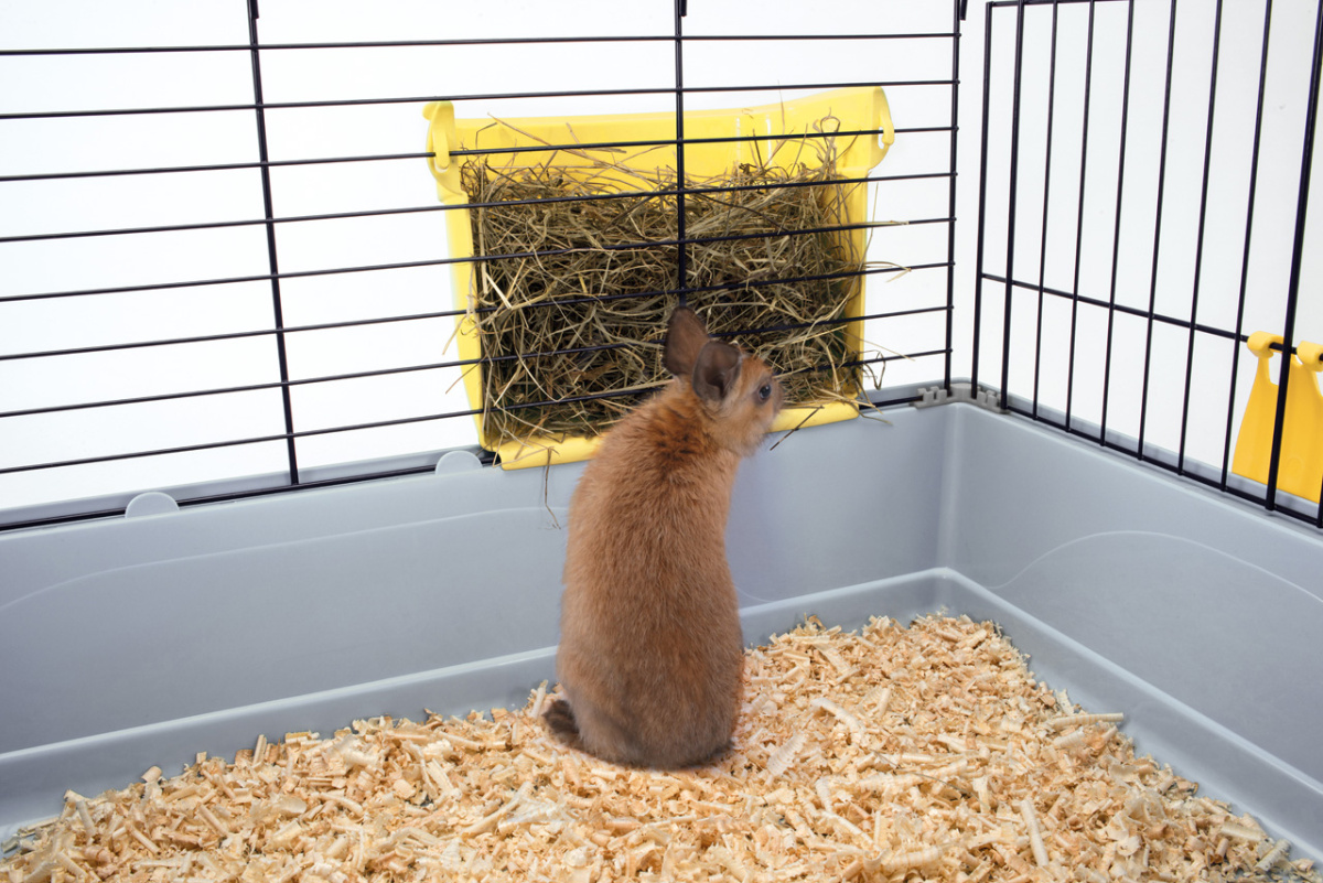 Відкрита пластикова годівниця під сіно для гризунів Imac Feel