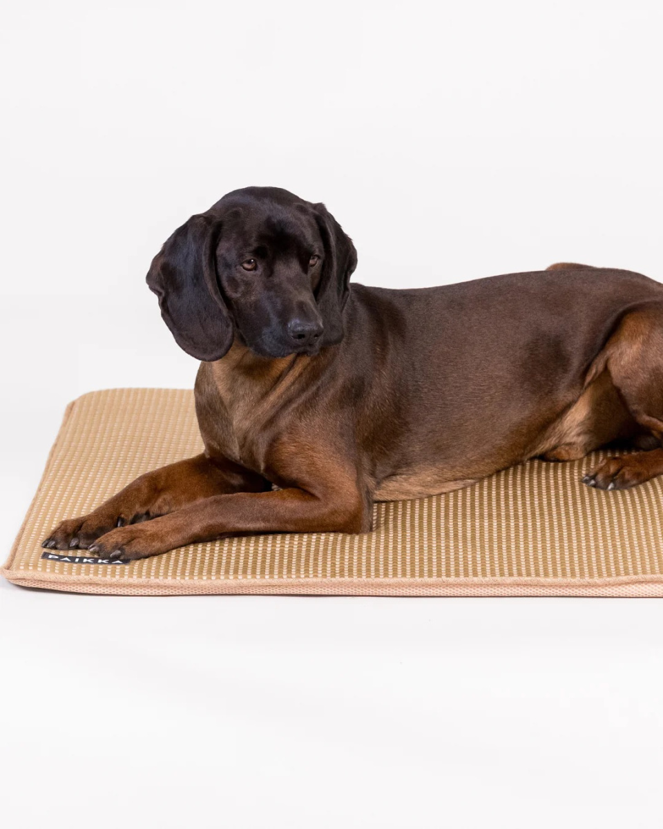 Інноваційна охолоджуюча підстилка для собак та котів PAIKKA Cooling Blanket Taupe