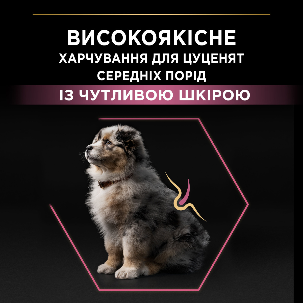 Сухой корм для щенков средних пород с чувствительной кожей с Лососем Purina Pro Plan Medium Puppy Sensitive Skin Salmon