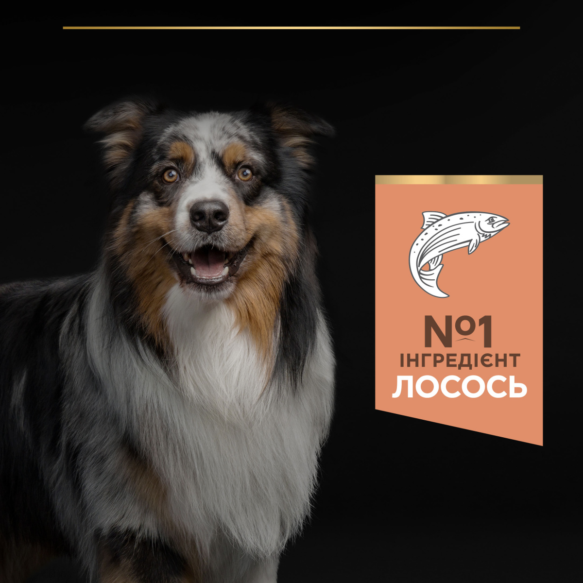 Сухий корм для середніх собак з чутливою шкірою з Лососем Purina Pro Plan Medium Adult 1+ Sensitive Skin Salmon