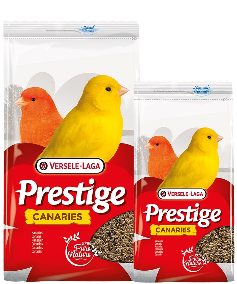 Зернова суміш з вітамінами, мінералами та амінокислотами для кенарів та канарок Versele-Laga Prestige Canaries