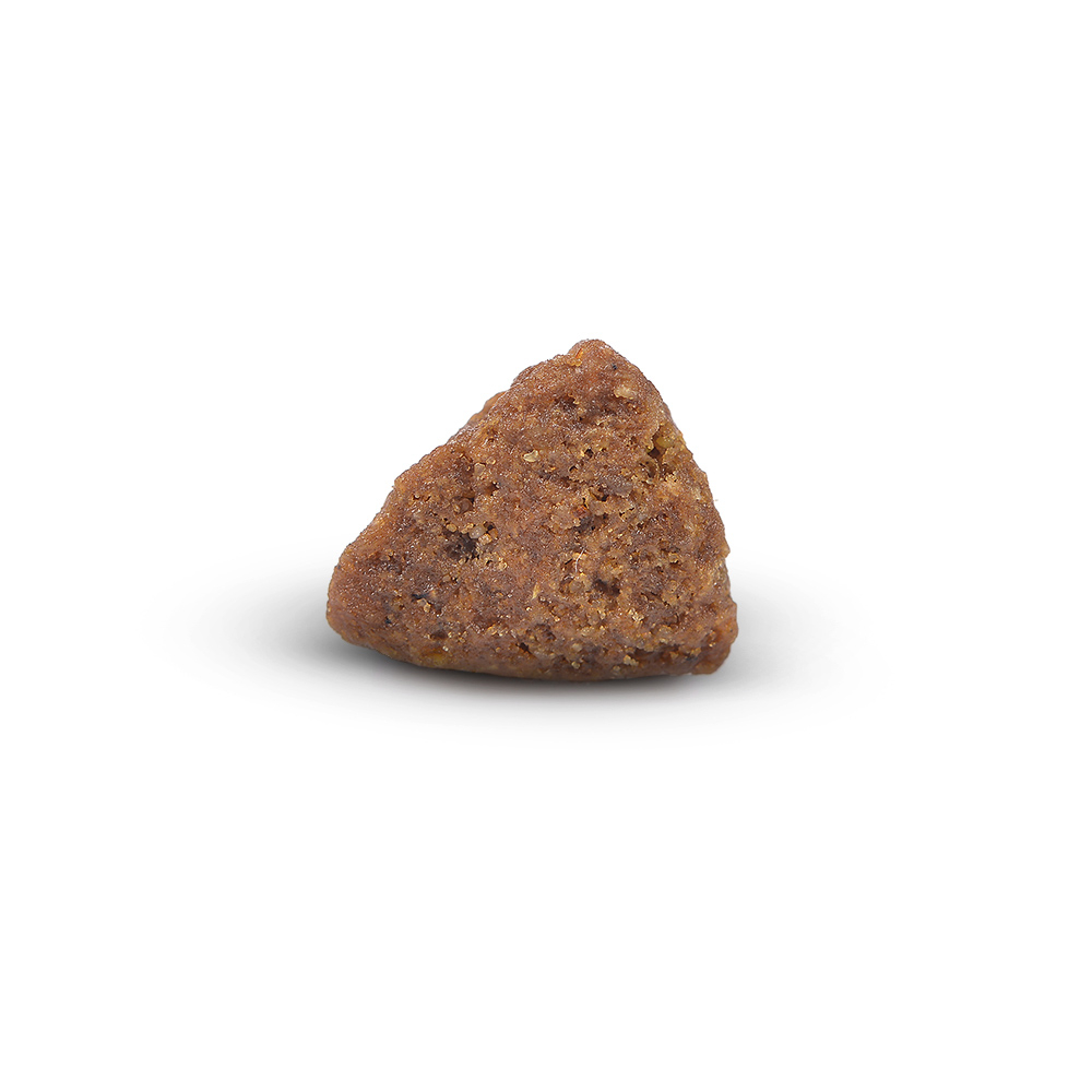 Сухой корм для щенков и юниоров от 2 месяцев со свежей курицей Arden Grange Puppy & Junior Fresh Chicken