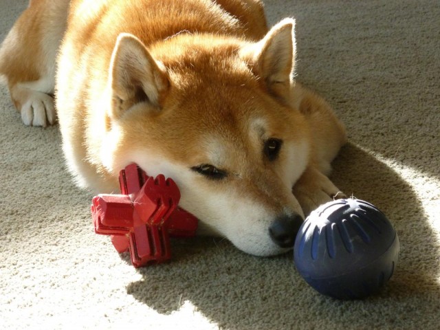 Игрушка для собак Палочка Звезда для лакомств и очищения зубов KONG Jump'N Jack