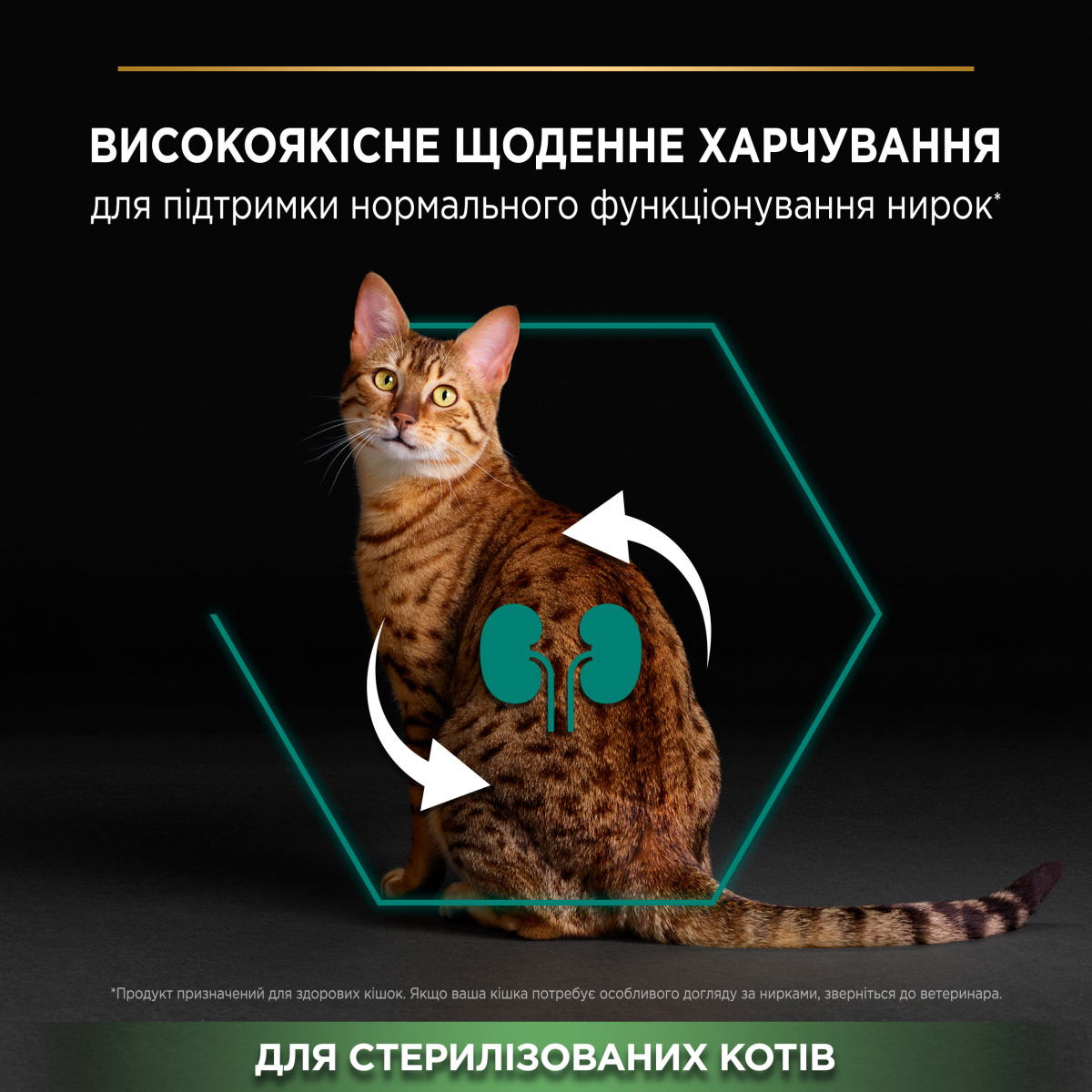 Сухой корм с кроликом для здоровья мочевовыводящей системы стерилизованных кошек Purina Pro Plan Sterilised Adult 1+ Renal Plus Rabbit