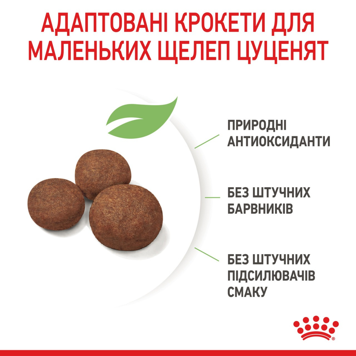 Сухой корм для щенков средних пород в возрасте от 2 до 12 месяцев Royal Canin Medium Puppy