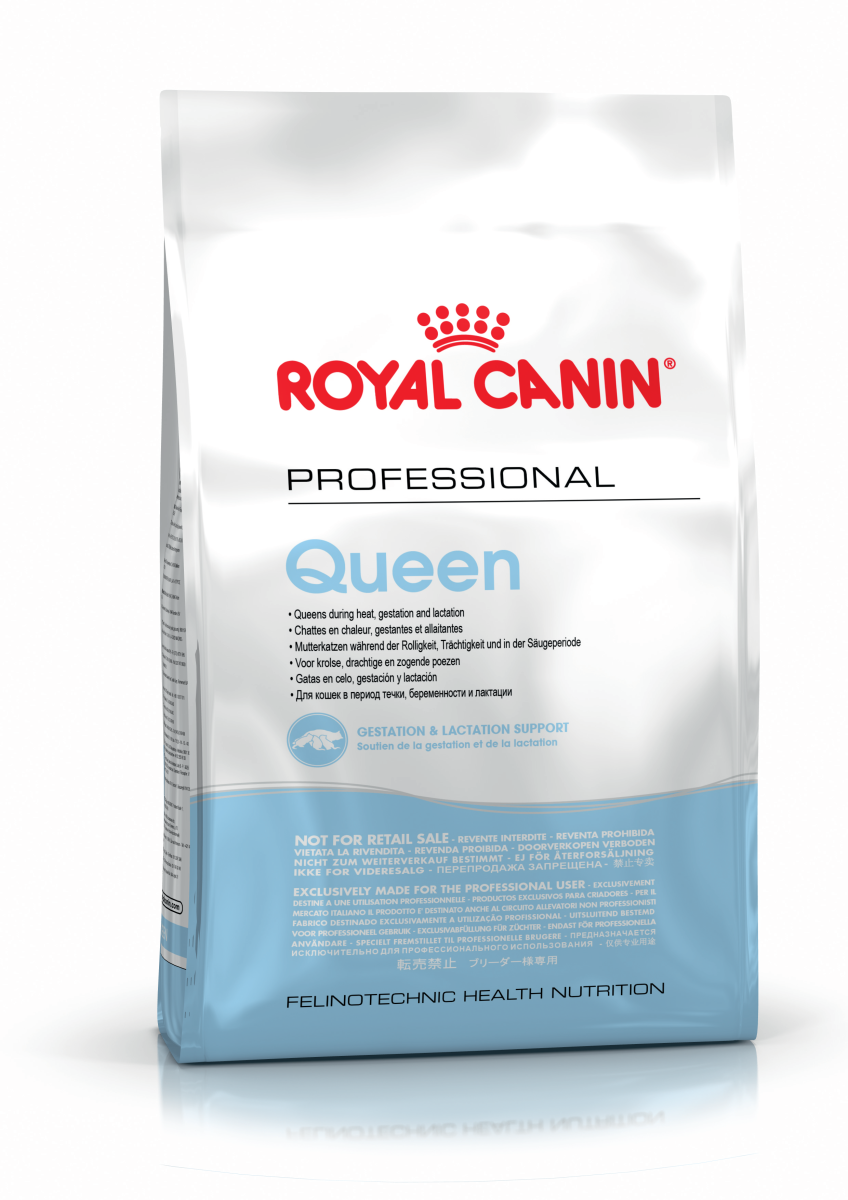 Сухий корм для кішок у період тічки, вагітності та лактації Royal Canin Queen