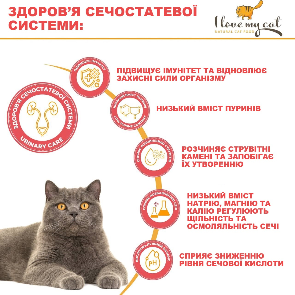 Беззерновий сухий корм холістик з білком комах для котів з чутливим травленням та алергією I love my cat Insects Беззерновий сухий корм холістик з білком комах для котів з чутливим травленням та алергією I love my cat Insects