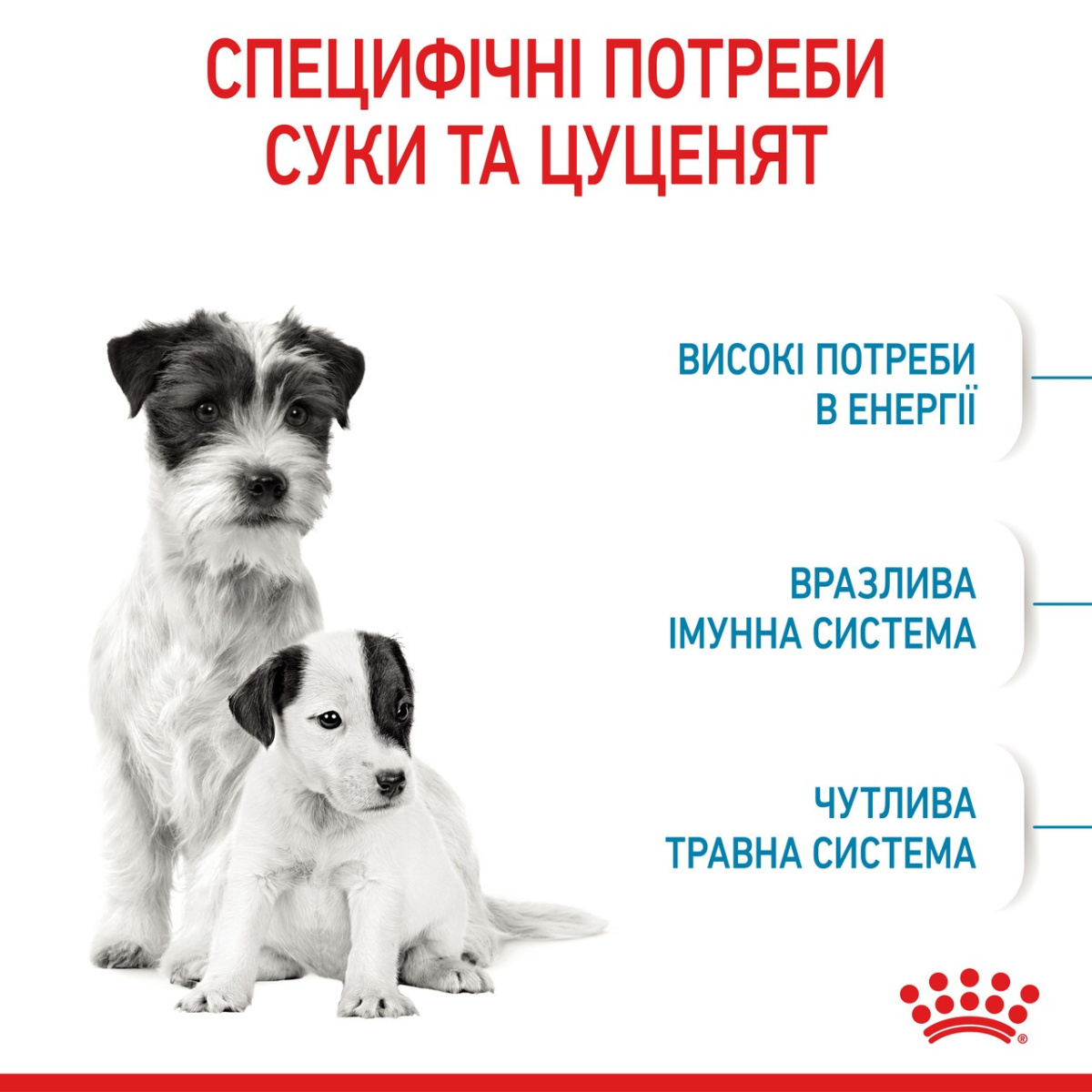 Сухий корм для цуценят віком до 2 місяців та годуючих собак маленьких порід Royal Canin Mini Starter