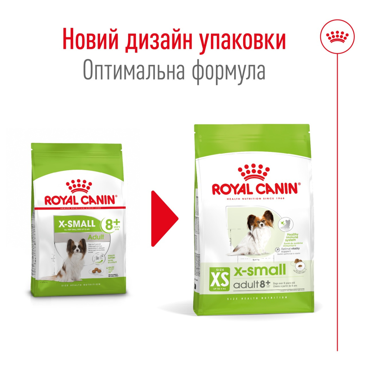 Сухой корм для пожилых собак миниатюрных пород в возрасте от 8 лет Royal Canin X-Small Adult 8+