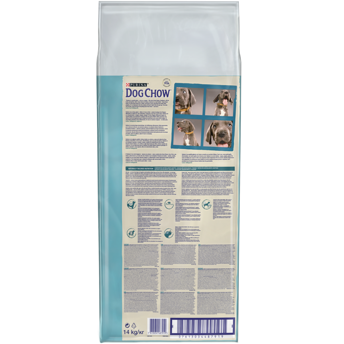 Сухий корм з індичкою для цуценят великих порід віком до 2 років Purina Dog Chow Puppy Large Breed With Turkey