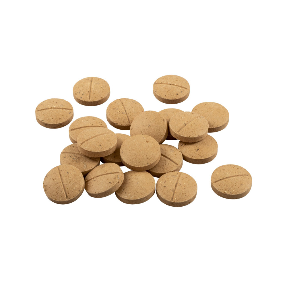 Комплексная добавка с пивными дрожжами для здоровья кожи и шерсти собак крупных пород 8in1 Excel Brewers Yeast Large Breed