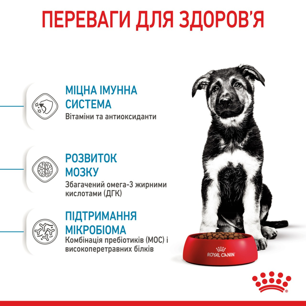 Сухой корм для щенков крупных пород в возрасте от 2 до 15 месяцев Royal Canin Maxi Puppy