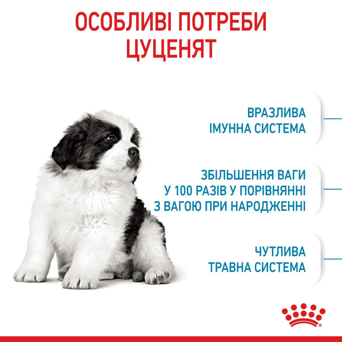 Сухий корм для цуценят гігантських порід віком від 2 до 8 місяців Royal Canin Giant Puppy