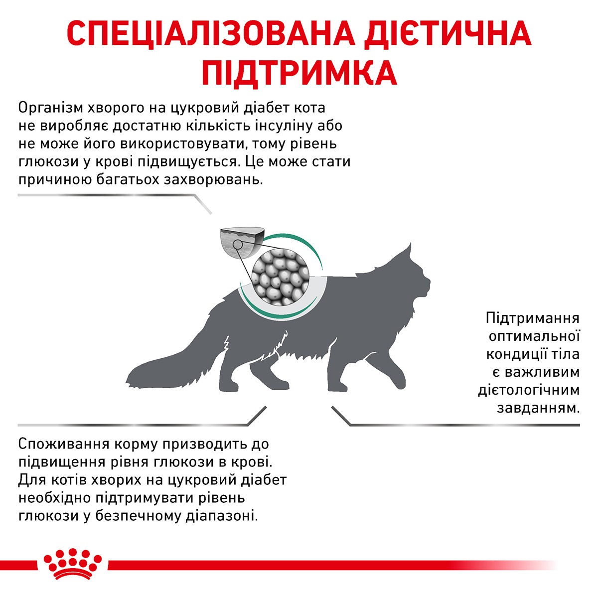 Сухой лечебный корм для взрослых котов с сахарным диабетом Royal Canin Veterinary Diabetic s/o index