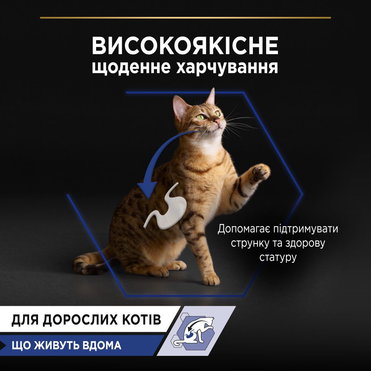 Влажный корм для взрослых домашних кошек Кусочки лосося в подливе Purina Pro Plan Adult Indoor Salmon