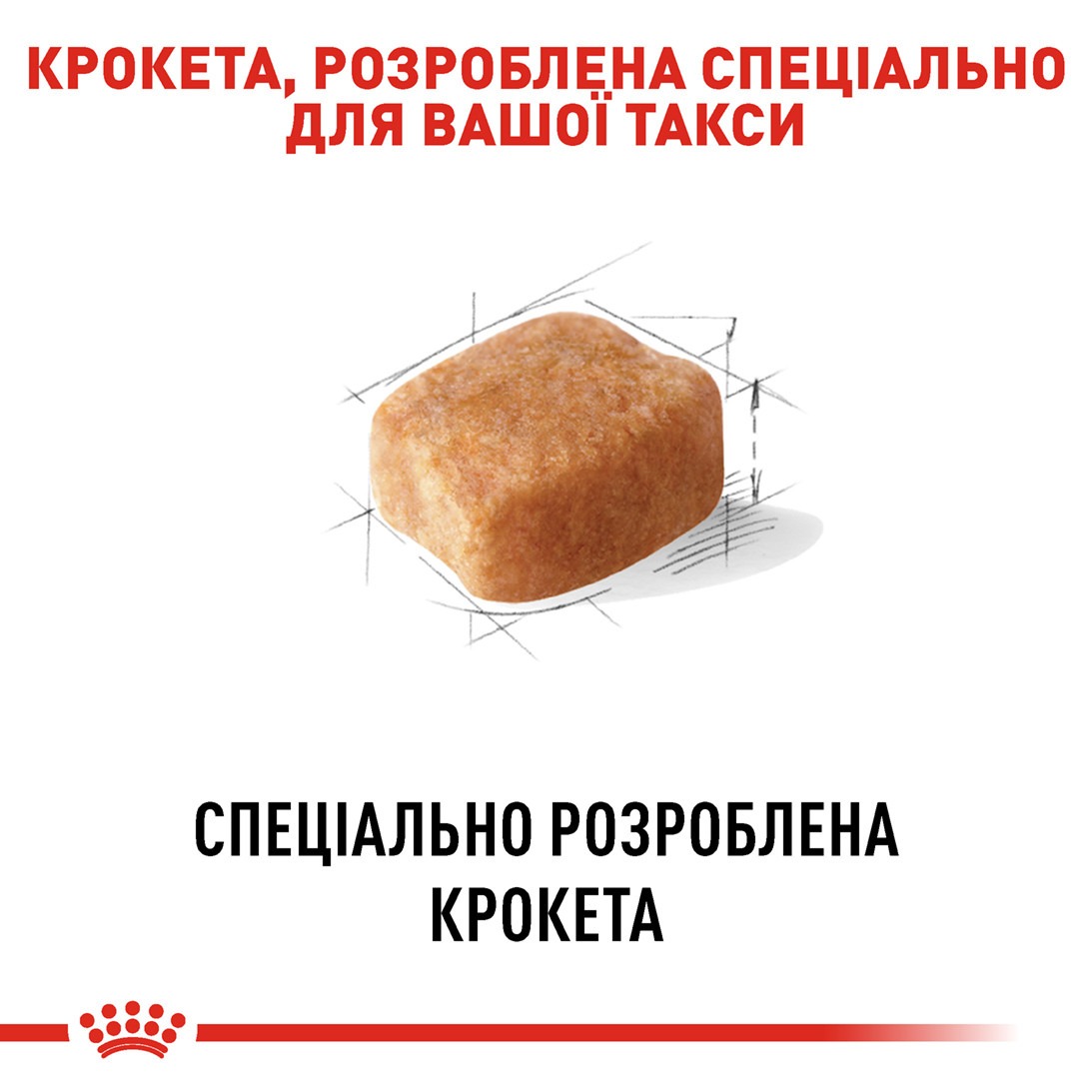 Сухий корм для собак породи Такса старше 10 місяців Royal Canin Dachshund Adult