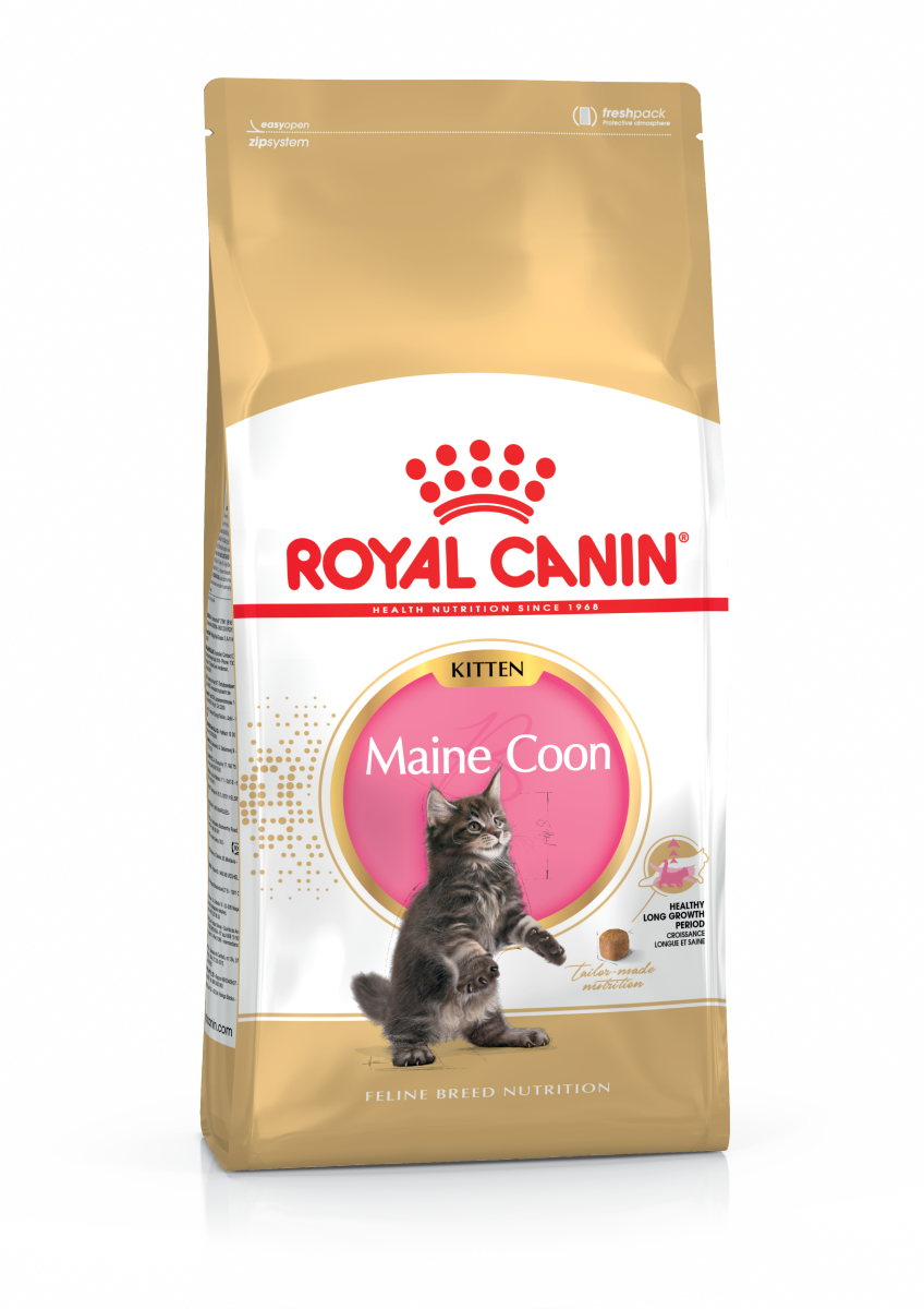 Сухой корм для котят в возрасте до 15 месяцев породы Мейн Кун Royal Canin Maine Coon Kitten
