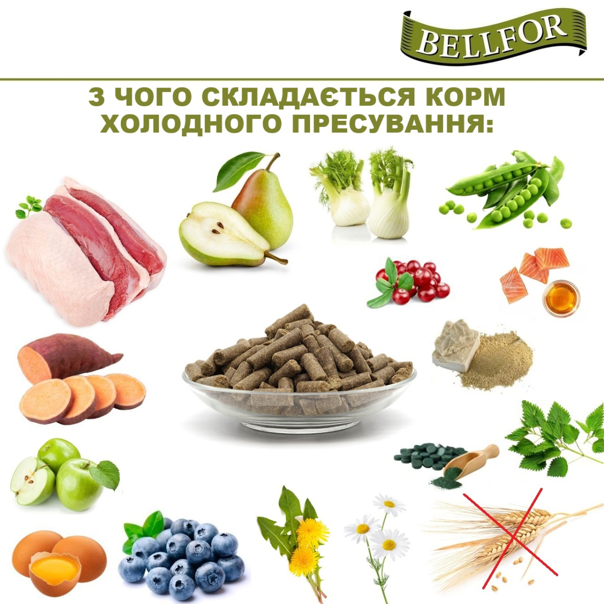 Беззерновой сухой корм для собак холистик холодного прессования с уткой Bellfor Wildsee-Schmaus Беззерновой сухой корм для собак холистик холодного прессования с уткой Bellfor Wildsee-Schmaus