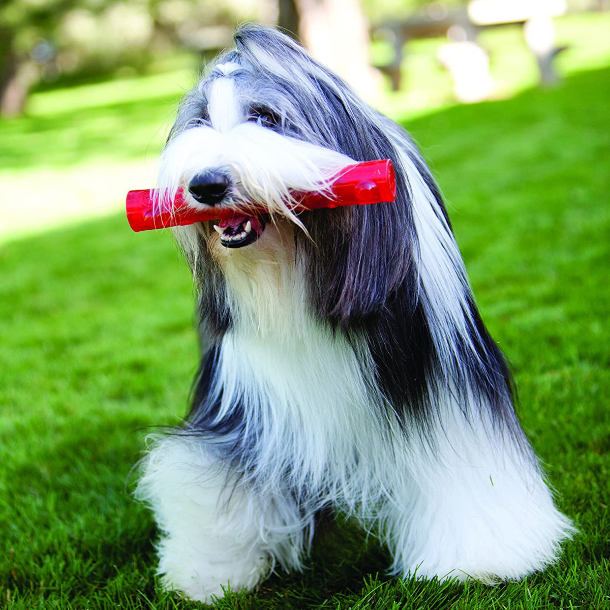 Іграшка для собак Жувальна Паличка із піщалкою KONG Squeezz Stick Dog Іграшка для собак Жувальна Паличка із піщалкою KONG Squeezz Stick Dog