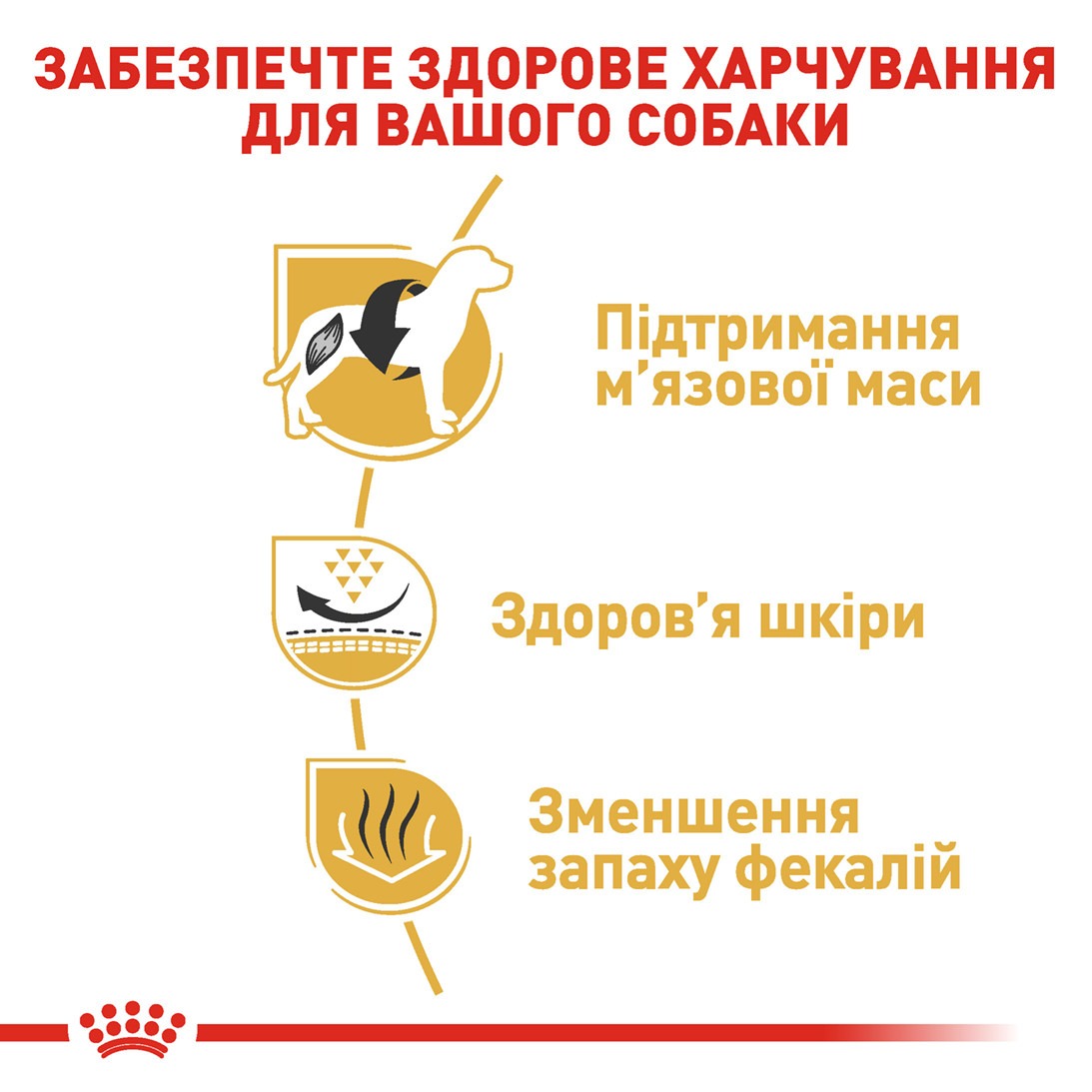 Сухой корм для собак породы Французский бульдог от 12 месяцев Royal Canin French Bulldog Adult  
