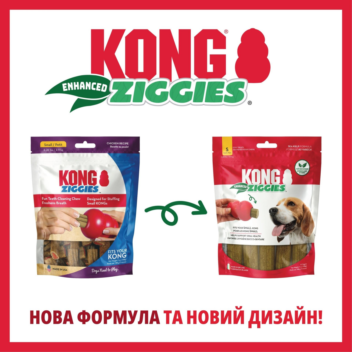 KONG Ziggies Enhanced Жувальні ласощі для чистки зубів собак Палички Фітодент