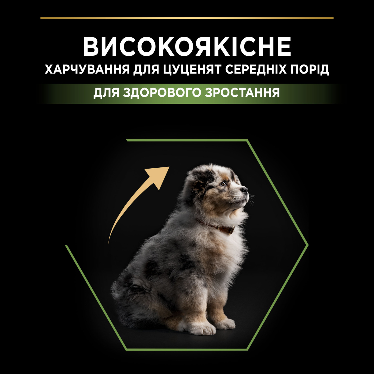 Сухий корм для здорового розвитку цуценят середніх порід з Куркою Purina Pro Plan Medium Puppy Healthy Start Chicken