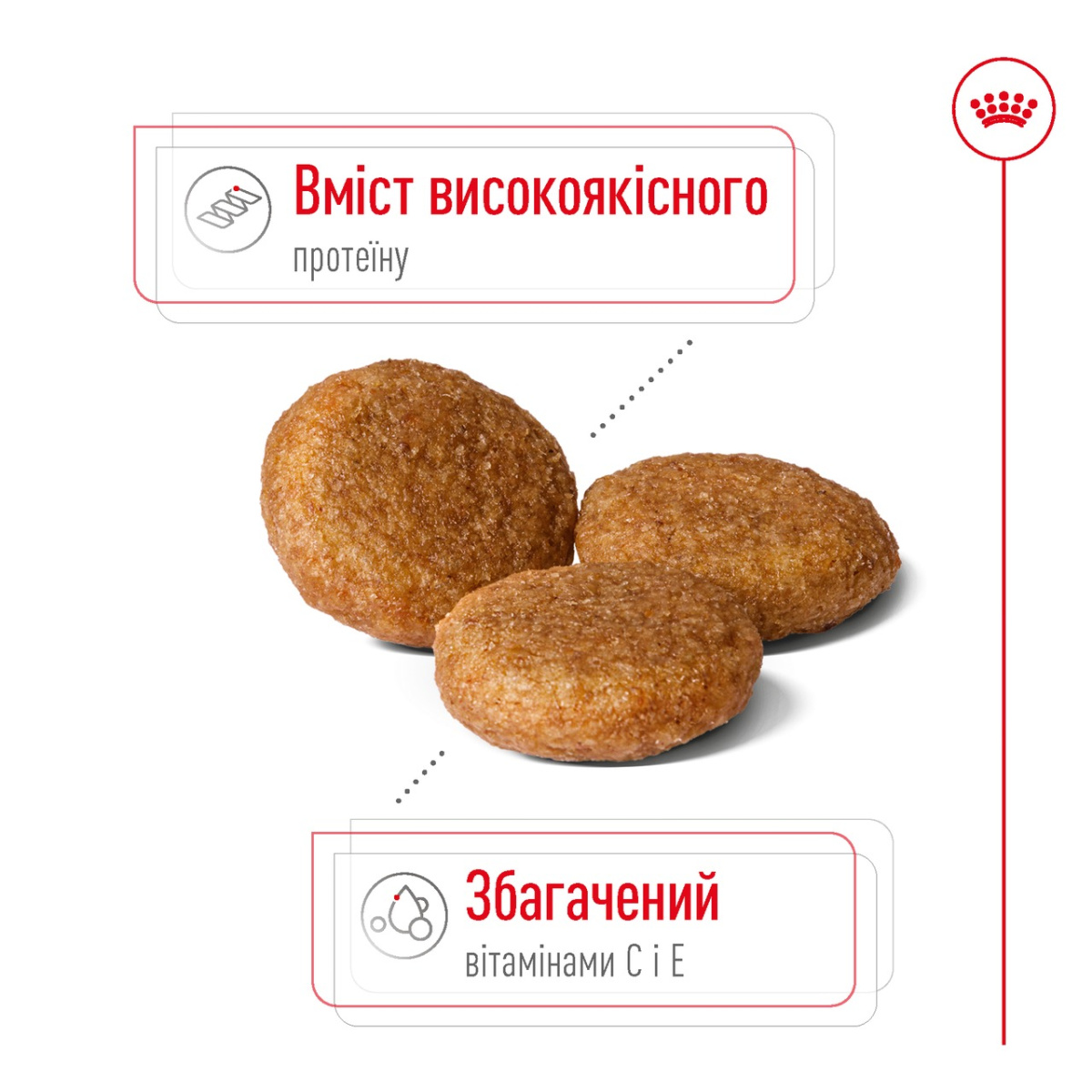 Сухой корм для собак средних пород в возрасте от 12 месяцев до 7 лет Royal Canin Medium Adult