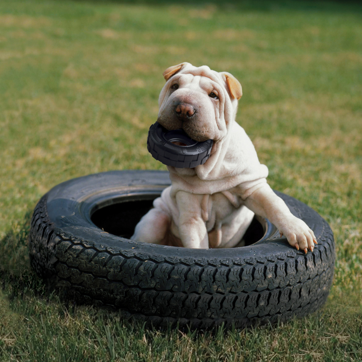 KONG Extreme Tires Антивандальна іграшка для собак Надміцна Жувальна Шина