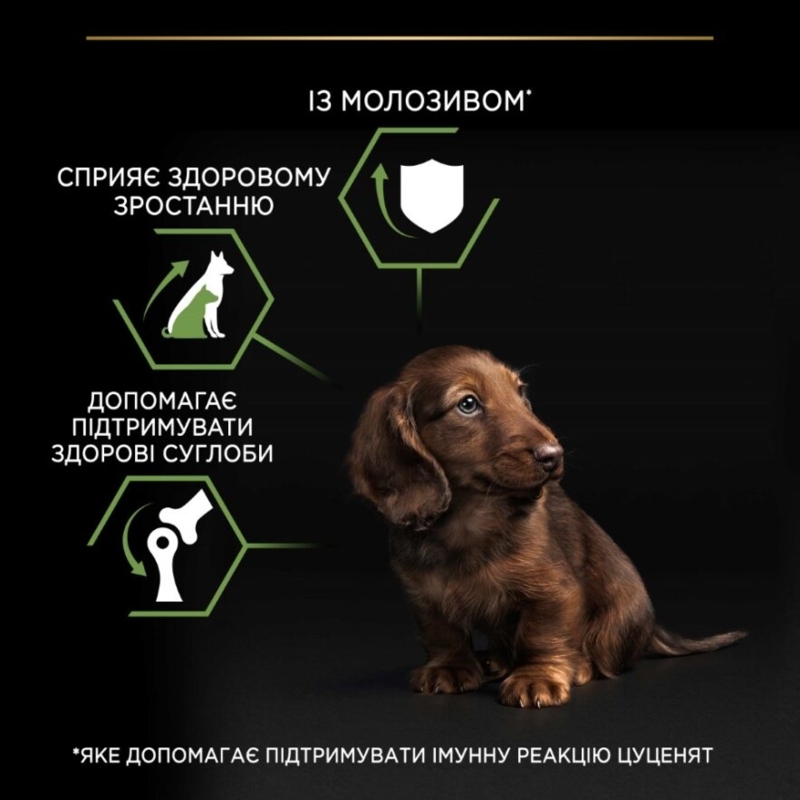 Сухой корм с курицей для здорового развития щенков маленьких пород Purina Pro Plan Small & Mini Healthy Start Puppy Chicken Сухой корм с курицей для здорового развития щенков маленьких пород Purina Pro Plan Small & Mini Healthy Start Puppy Chicken