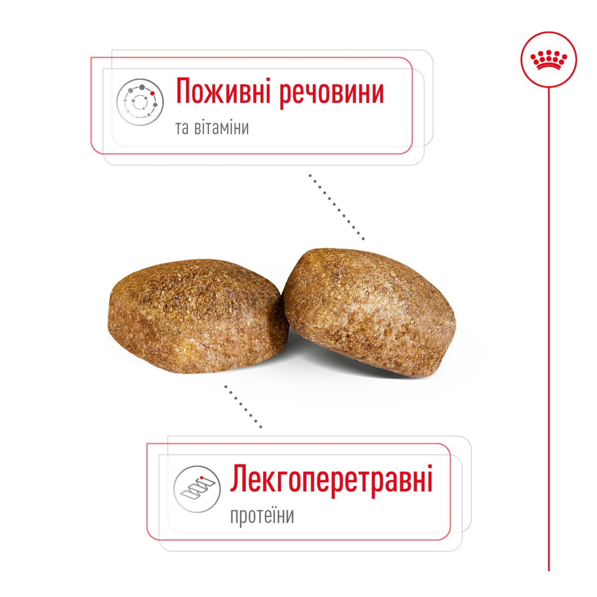 Сухий корм для собак гігантських порід віком від 24 місяців Royal Canin Giant Adult