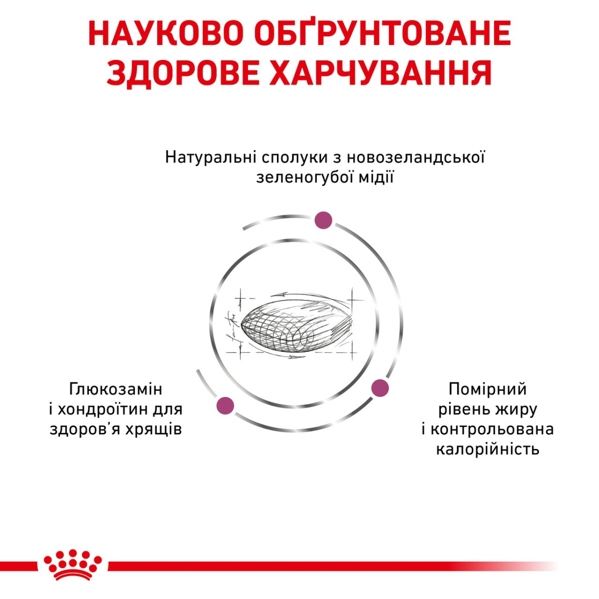 Сухий лікувальний корм для собак при захворюваннях опорно-рухового апарату Royal Canin Veterinary Mobility C2P