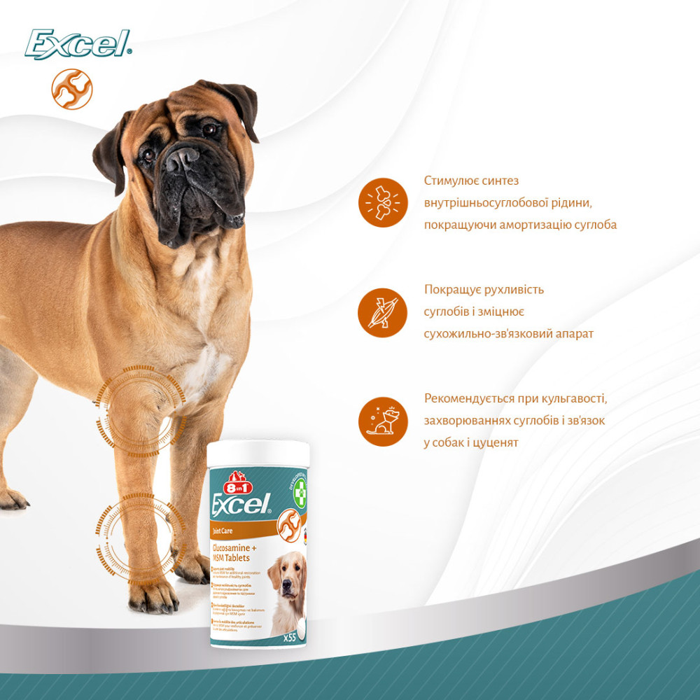 Комплексная добавка с глюкозамином для восстановления суставов собак 8in1 Excel Glucosamine+MSM