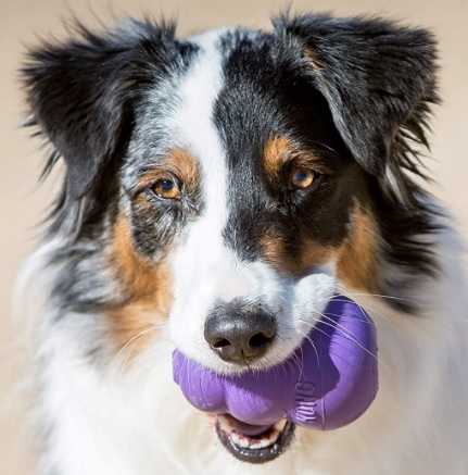 Игрушка для собак пожилого возраста Конг для лакомств KONG Senior