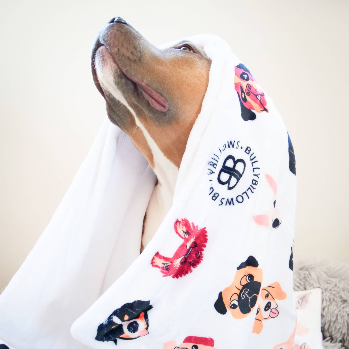 Заспокійлива біла ковдра для собак та людей BullyBillows Luxury Dog & Human Blanket White