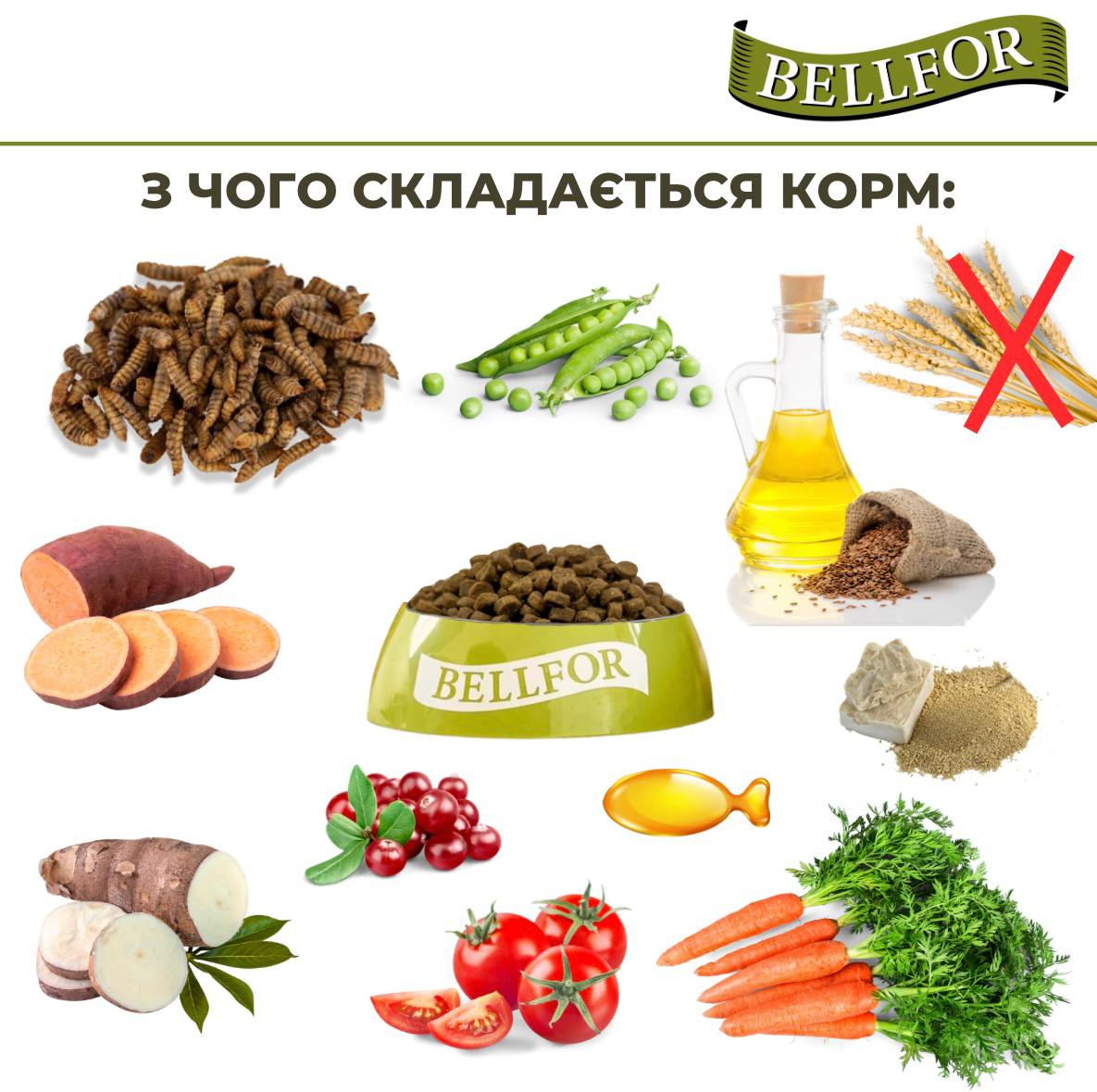 Беззерновий сухий корм холістик на основі білка комах для цуценят Веllfor Insect Landgut Schmaus Hypoallergenic Junior