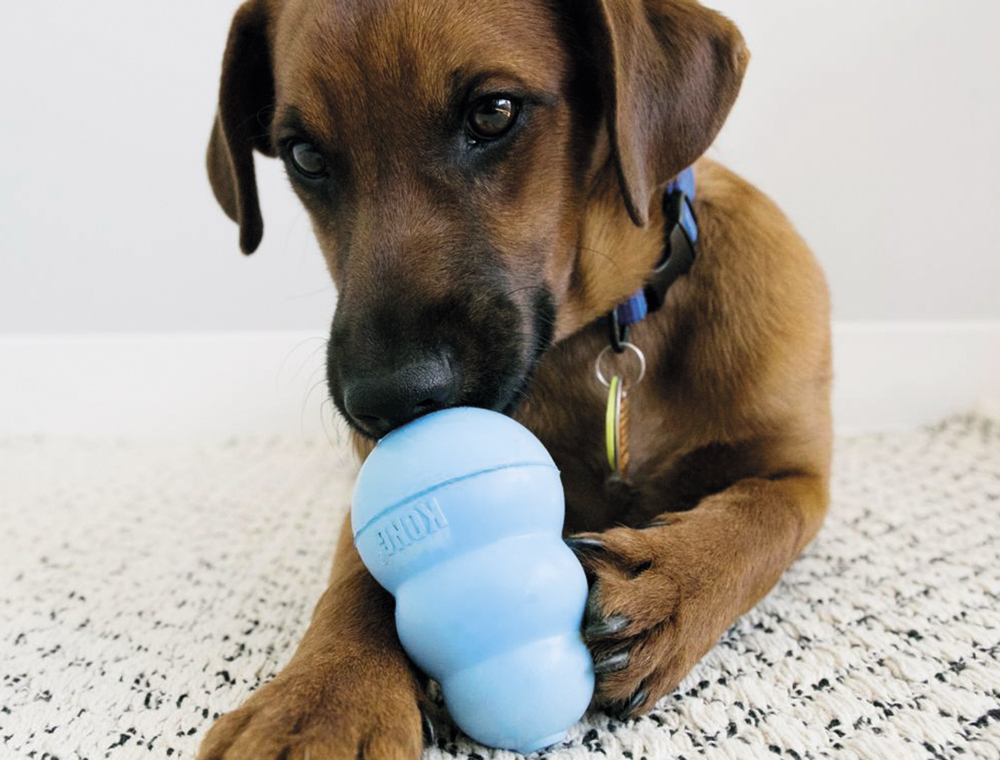 Игрушка для щенков Конг Развивающий для лакомств KONG Puppy Ball