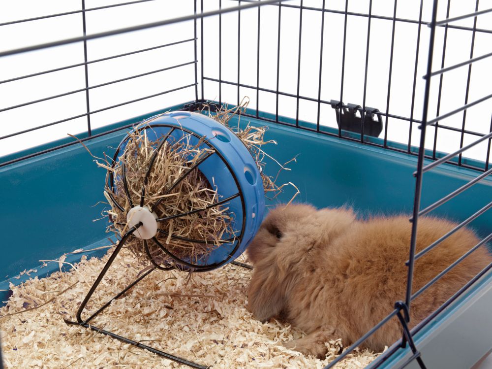 Шар для фруктов и овощей для кролика Bunny Toy Savic