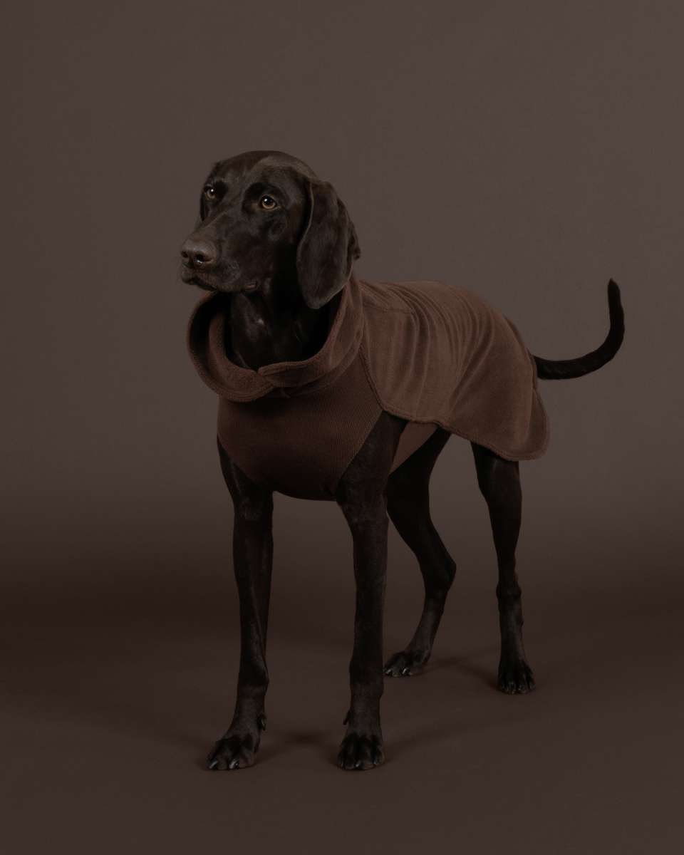 Інноваційна теплоізоляційна сорочка для собак PAIKKA Seawool Shirt Choco