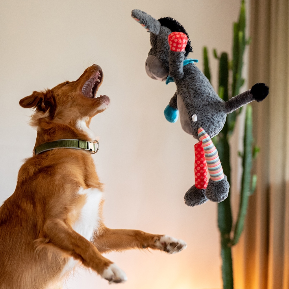Мягкая игрушка для больших собак Ослик с пищалкой Plush Nobby
