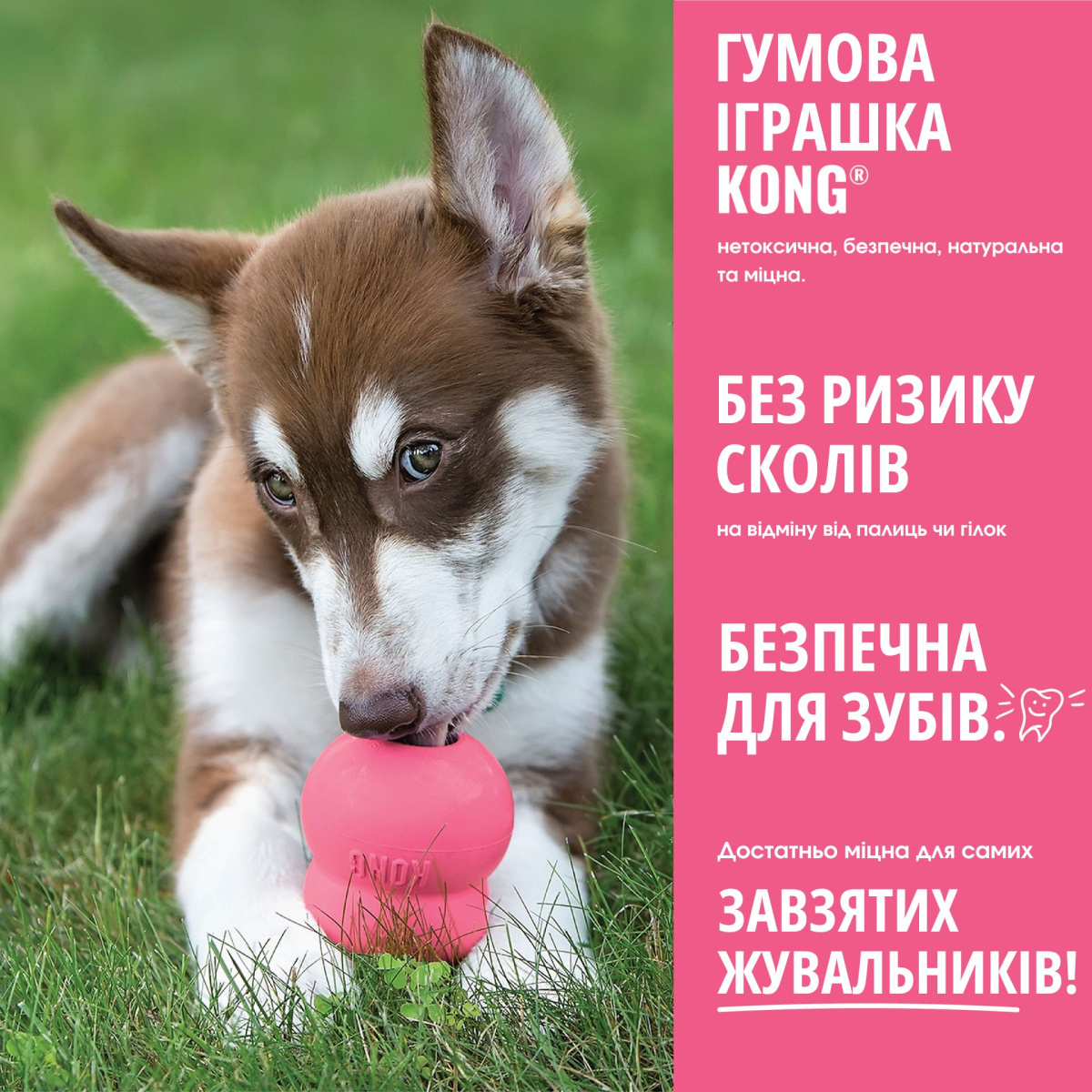 KONG Puppy Pink Розвиваюча іграшка для цуценят Рожевий КОНГ для ласощів