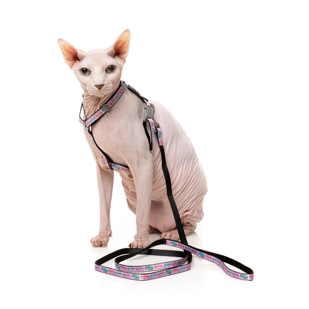 Анатомічна шлея з повідцем для котів FuzzYard Cat Walking Set Meowcarons