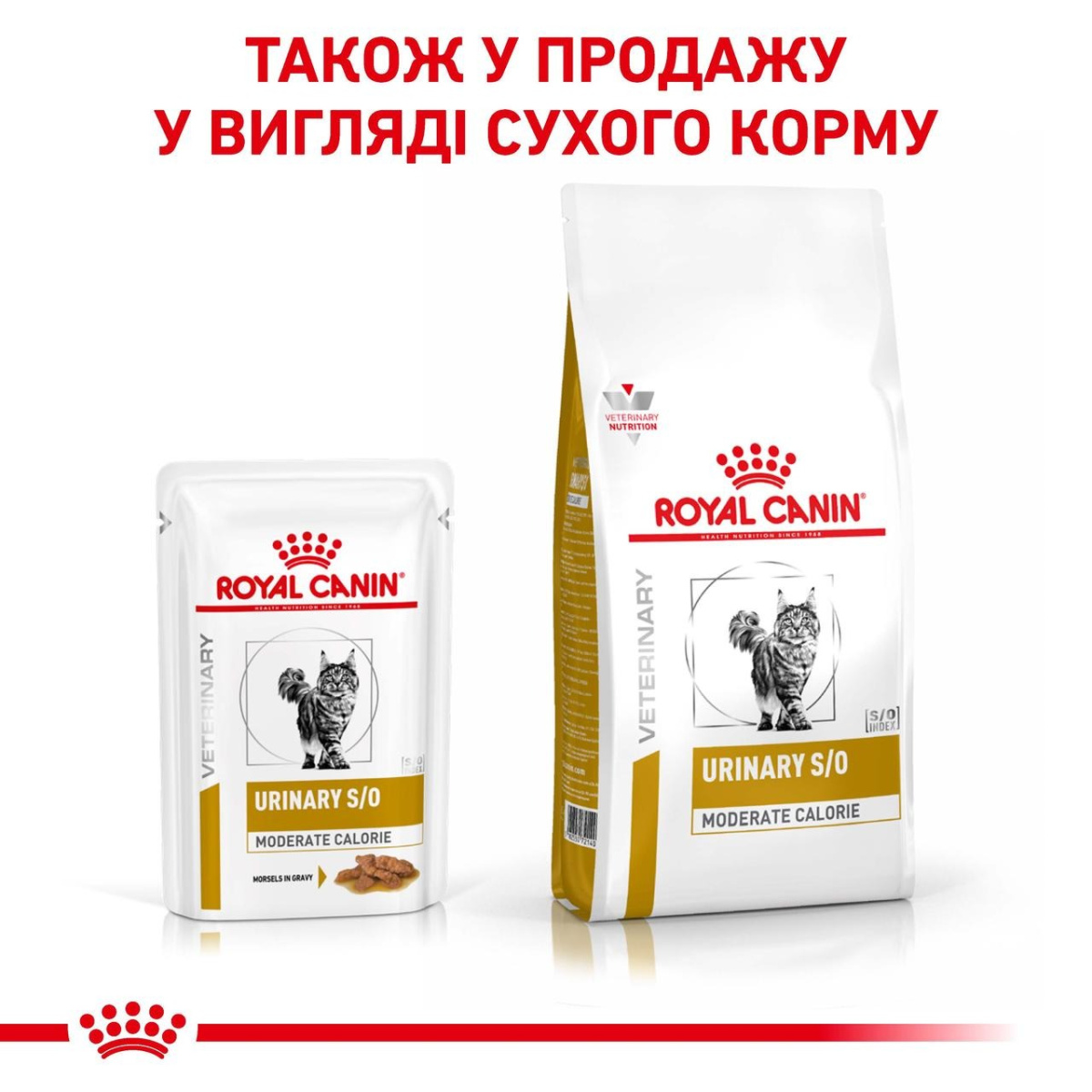 Вологий лікувальний низькокалорійний корм для дорослих котів із сечокам'яною хворобою Royal Canin Veterinary Urinary S/O Moderate Calorie