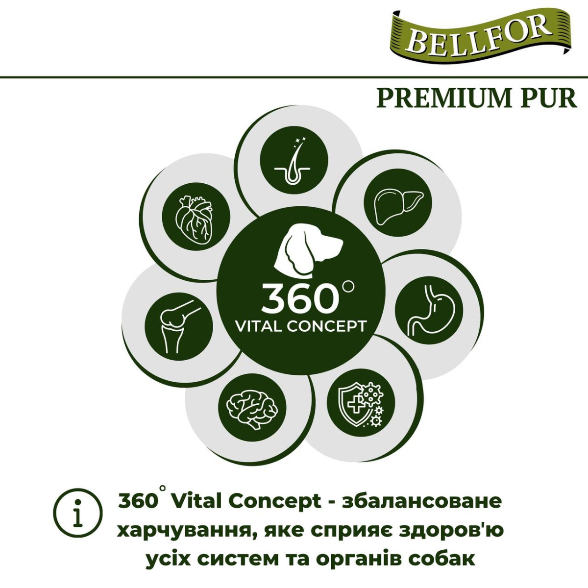 Безглютеновый питательный сухой корм с курицей для взрослых собак Bellfor Premium Pur FleischPlus