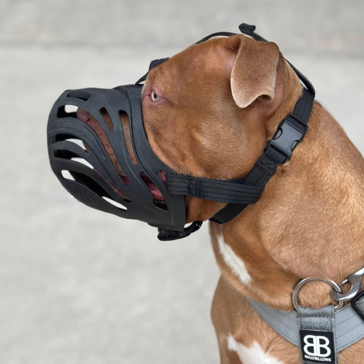 Анатомічний антифрикційний намордник для собак BullyBillows Flexible Cage Muzzle S-XL Breeds Анатомічний антифрикційний намордник для собак BullyBillows Flexible Cage Muzzle S-XL Breeds