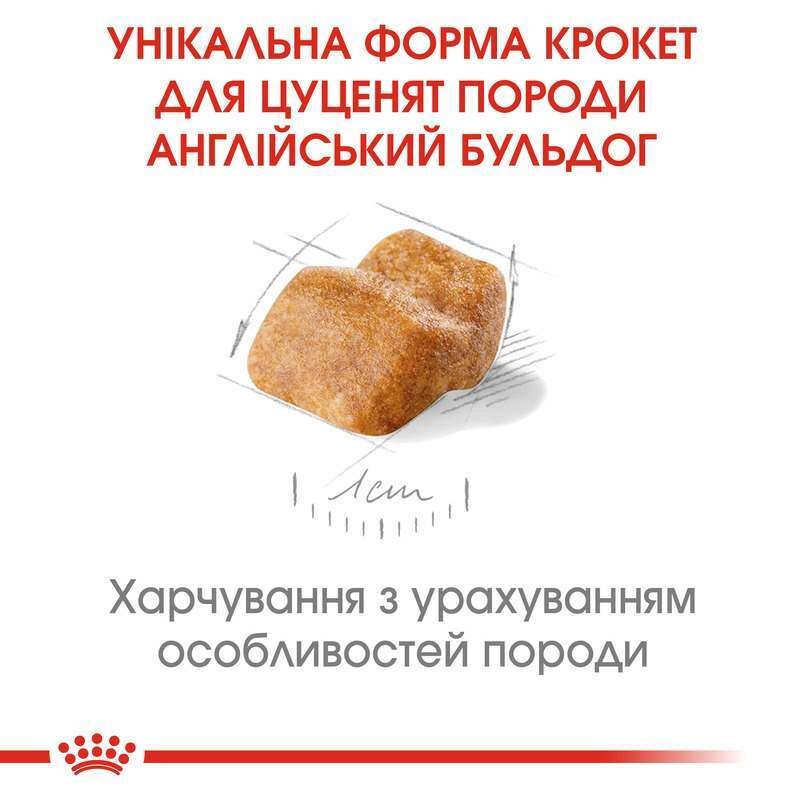 Сухий корм для цуценят породи Англійський бульдог віком до 12 місяців Royal Canin Bulldog Puppy