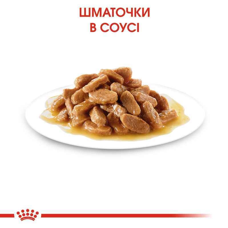 Влажный корм в соусе для щенков средних пород в возрасте от 2 до 12 месяцев Royal Canin Medium Puppy