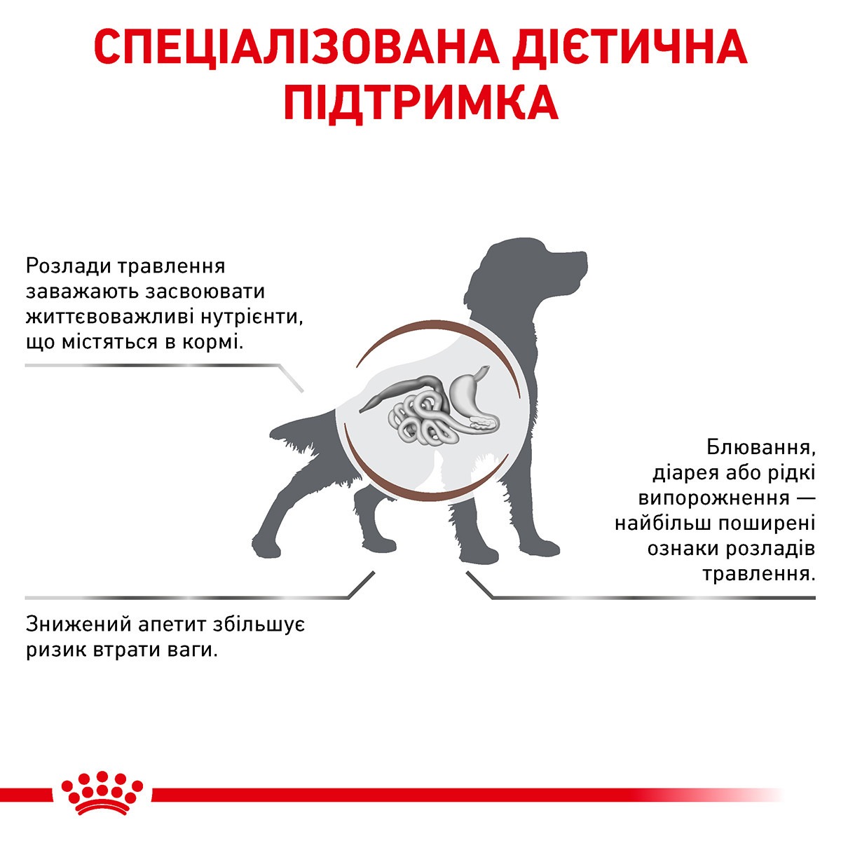 Сухий лікувальний корм для собак при гострих розладах травлення Royal Canin Veterinary Gastrointestinal