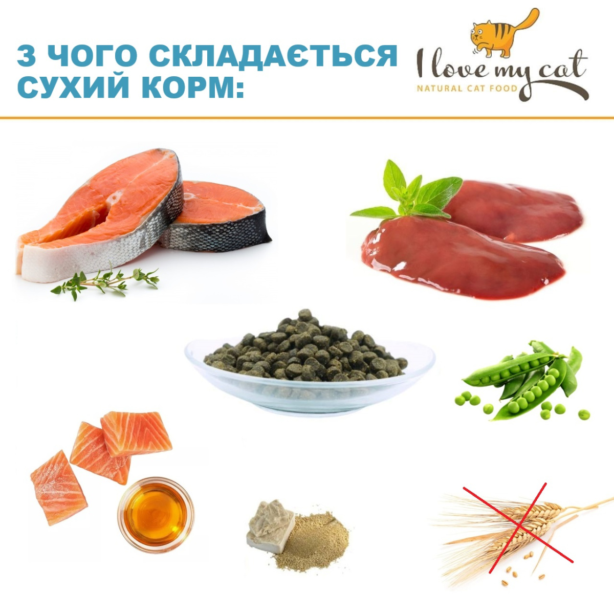 Беззерновий гіпоалергенний сухий корм холістик з лососем для кошенят I Love my cat Kitten Salmon