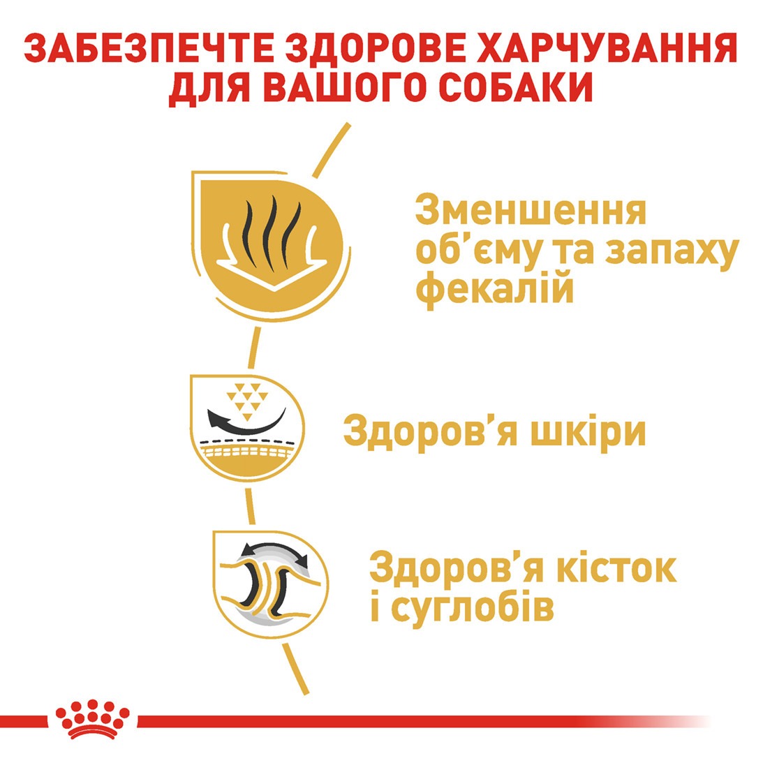 Сухий корм для собак породи Англійський Бульдог віком від 12 місяців Royal Canin Bulldog Adult